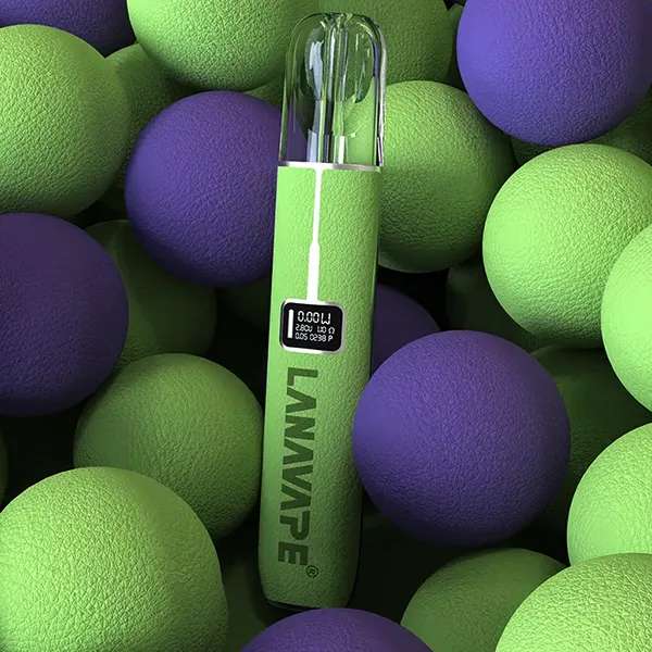 拉娜Lana皮革主機